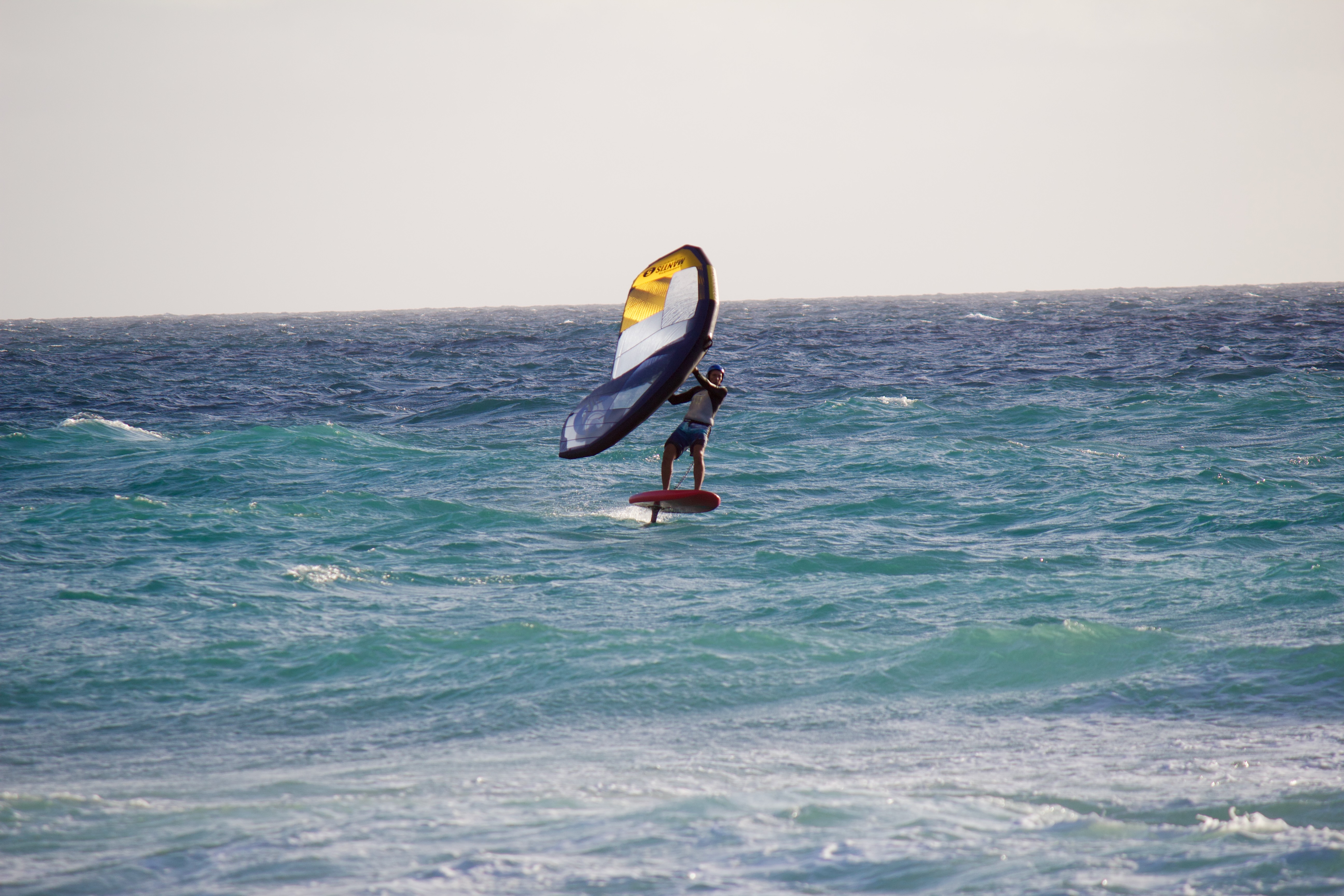 Windsurfer